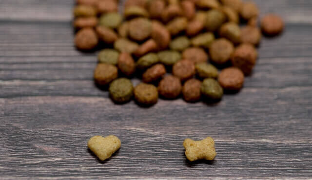 愛猫のキャットフードの選び方を解説！安全なご飯を見極めるための 